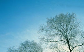 攻击网站服务器