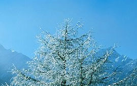 ddos在线攻击平台