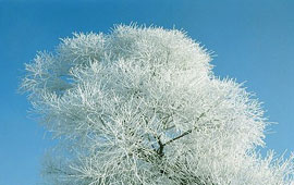 ddos服务器攻击手段